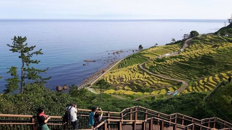 wajima wajima